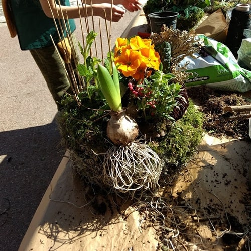 cours fleuriste courchevel stage fleuriste courchevel