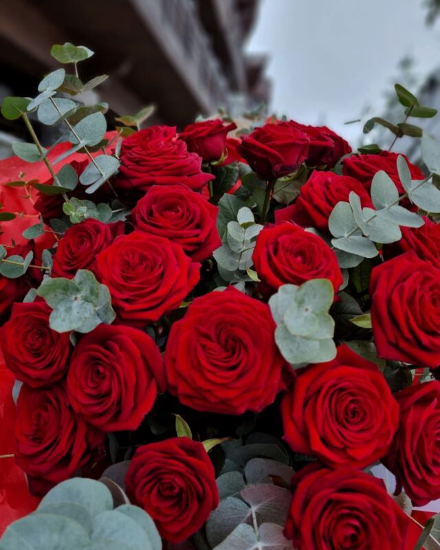 💋🌹La Saint Valentin approche 🌹💋

Passez votre commande via Whatsapp avant le jour J ! ❣️
☎️ +33 7 68 30 30 36 

#stvalentin #rose #fleuriste #florart #courchevel