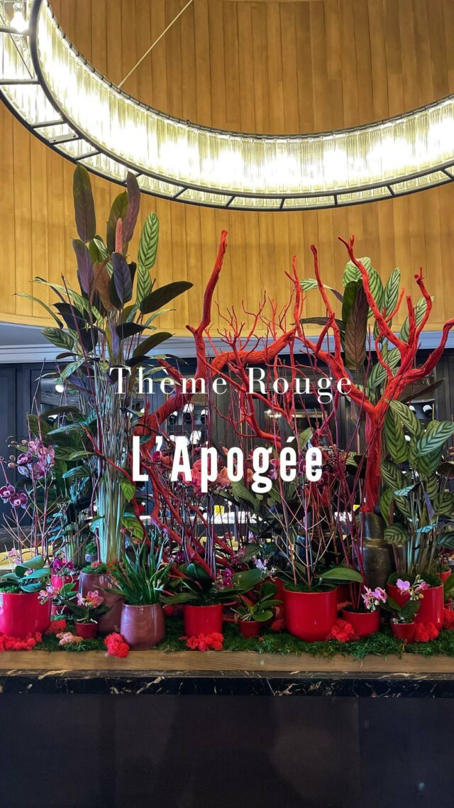 Thème Rouge signe que la St Valentin approche … 🌹❣️💋
À découvrir au cœur du restaurant de @lapogeecourchevel 

Pour toutes demandes, contactez nous via WhatsApp 
+33 7 68 30 30 36 ☎️

#courchevel #apogee #palace #stvalentinesday #love #fleuriste #florart